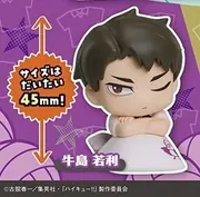 Haikyuu!! - Ushijima Wakatoshi - Onemutan - Onemutan Haikyuu!! Vol.2 Nidone Second Uniform ver. (Stand Stones)