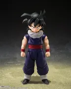 Dragon Ball Z - Son Gohan - S.H.Figuarts - Z-Fighters (Bandai Spirits)