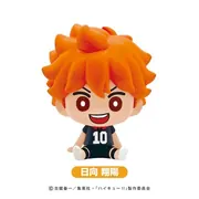 Haikyuu!! - Hinata Shouyou - Bath Additive - Haikyuu!! Bath Ball (SK Japan, Toho)