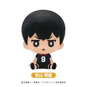 Haikyuu!! - Kageyama Tobio - Bath Additive - Haikyuu!! Bath Ball (SK Japan, Toho)