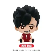 Haikyuu!! - Kuroo Tetsurou - Bath Additive - Haikyuu!! Bath Ball (SK Japan, Toho)