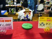 Touhou Project - Moriya Suwako (Gadouken)