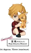Haikyuu!! - Miya Atsumu - Hide & Seek Kakurenbo Figure - Perihapi! - Perihapi! Haikyuu!! Hide ＆ Seek Kakurenbo Fukuroudani Gakuen · Inarizaki - Secret, Mascot (Takara Tomy A.R.T.S)